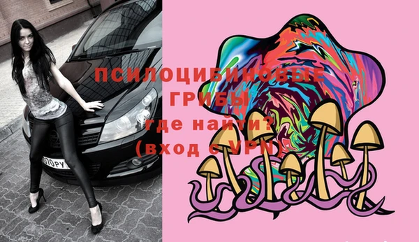 спиды Алзамай