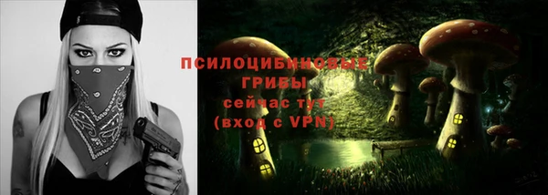 спиды Алзамай