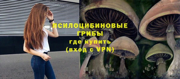 дживик Армянск